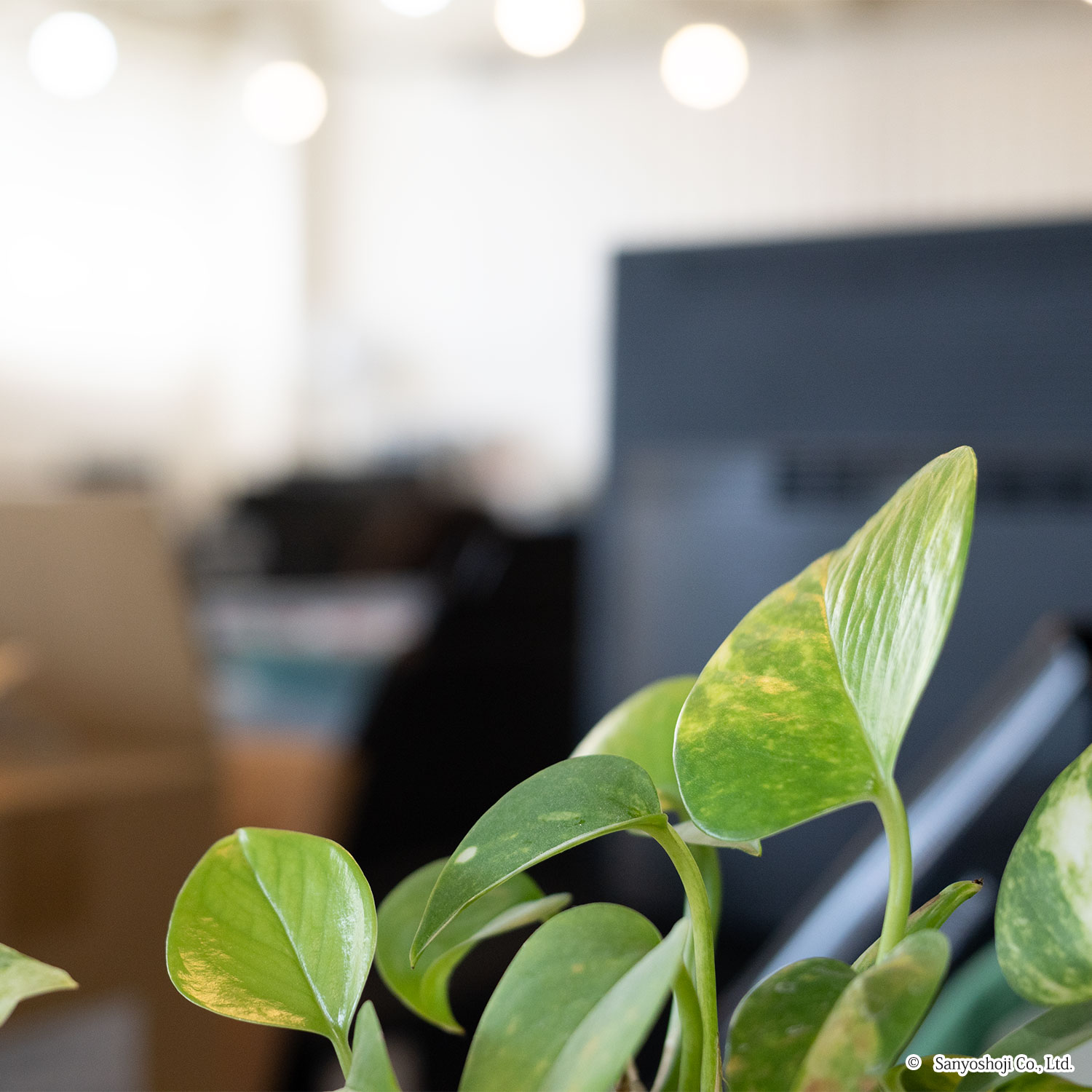 三洋商事の社内風景